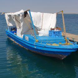خطبة الجمعة من المسجد النبوي