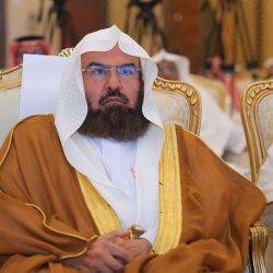 المدفع : ديسمبر أول شهور الشتاء وهذا ما شهدته 5 مناطق مع وداع 2024م