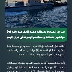 حرس الحدود بمنطقة جازان يقبض على 15مخالفًا لنظام أمن الحدود لتهريبهم 440 كيلوجرامًا من نبات القات المخدر