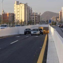 درجات الحرارة الصفرية تؤدي لتجمد المياه في الأماكن المفتوحة بتبوك