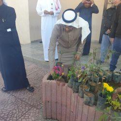 بيئة العاصمة المقدسة تنفذ مبادرتين لتوزيع شتلات زراعية على المدراس