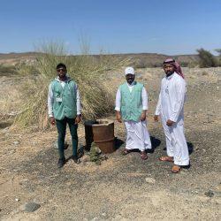 بيئتي الليث و تربة تحتفيان بيوم التأسيس