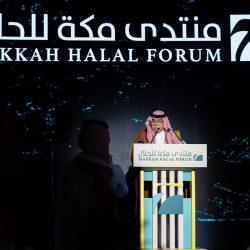 حرس الحدود بمنطقة عسير يحبط تهريب 120كيلوجرامًا من نبات القات المخدر