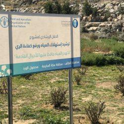 ثانوية العقيق تحتفل بيوم التأسيس لعام 2025