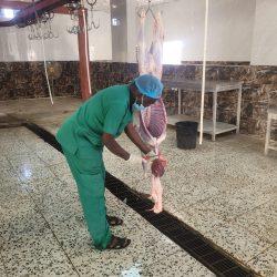 بيئة العاصمة المقدسة تنفذ مبادرتين لتوزيع شتلات زراعية على المدراس