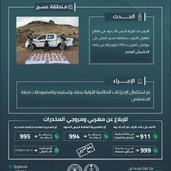 حرس الحدود بمنطقة عسير يقبض على 5 مخالفين لنظام أمن الحدود لتهريبهم 137,910 أقراص خاضعة لتنظيم التداول الطبي