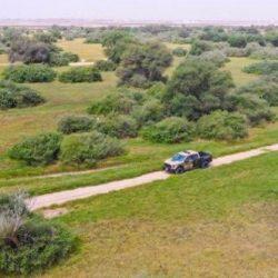 “هدية” تتوج بالمركز الأول في جائزة التميز في خدمة ضيوف الرحمن