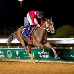 الجمعية السعودية للقبالة تطلق مؤتمرها الدولي السنوي الثالث