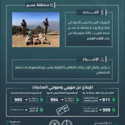 وزارة الداخلية تحصل على جائزة اعتماد الابتكار العالمي