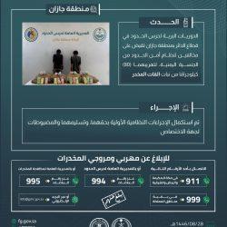 حرس الحدود بمنطقة عسير يقبض على شخص لتهريبه 40 كلجم من مادة الحشيش المخدر