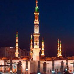 منظمة بريف الدولية لفنون القتال المختلطة تعلن مواعيد ومكان بطولاتها لعام ٢٠٢٥