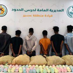 حرس الحدود بمنطقة عسير يحبط تهريب 420كلجم من نبات القات المخدر