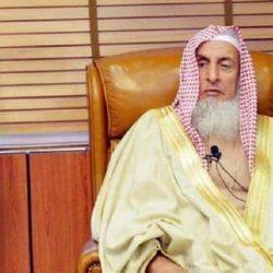 تحقيقاً لأمنيته وتقديراً لحفظه وإمامته ومراعاة لظروفه الصحيحة في لفتة إنسانية كريمة وزير الشؤون الإسلامية يوجه باستضافة الإمام الكفيف باليمن لأداء مناسك الحج هذا العام 1446هـ