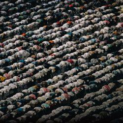 جمعية أدبي الطائف تعقد مساء اليوم الإثنين أول اجتماع لمجلسها الجديد