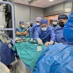 “العثور على دولفين نافق في خليج السويس بجمهورية مصر العربية وتحنيطه بمعهد علوم البحار والمصايد”