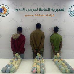 حرس الحدود بمنطقة جازان يحبط تهريب 252 كلجم من نبات القات المخدر