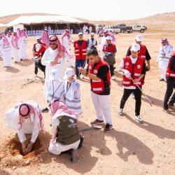 كلام للى يفهموه