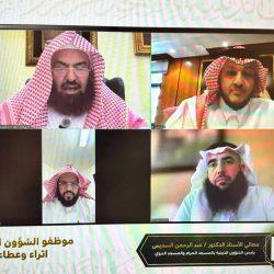 بيئة الكامل تطلق مبادرة لتوزيع الشتلات تزامنًا مع أسبوع البيئة 2025