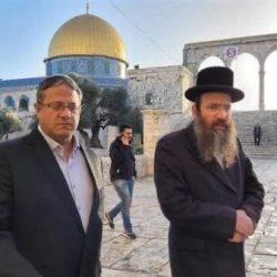 جولة دبي الدولية للجوجيتسو تنطلق غداً بمشاركة عالمية واسعة ونخبة من نجوم الرياضة