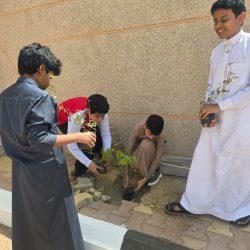 أمانة جدة تكثف مراقبتها على البيع العشوائي وترصد 30 ك من الخضروات