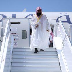 مبادرة بيئية في عرعر: غرس 1000 شتلة برية بمتنزه معيلة الوطني ضمن فعاليات أسبوع البيئة 2025