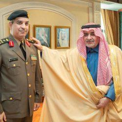 أمانة تبوك تُطلق خدمة تصريح اللوحات الإعلانية المؤقتة عبر تطبيق بلدي