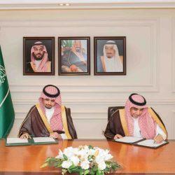 استشهاد 18 فلسطينيًا في قصف الاحتلال الإسرائيلي على قطاع غزة