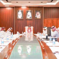 رئاسة الشؤون الدينية تطلق برنامجًا علميًا بالمسجد النبوي يقدم فيه فضيلة الشيخ أنيس طاهر شرحًا لكتاب “التذكرة”