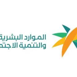 تعليم المدينة المنورة ينفذ إجراءات التوظيف التعاقدي لـ1003 مرشحين ومرشحات لشغل الوظائف التعليمية