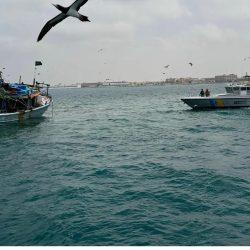 10 آلاف خطوة يوميًا كفيلة بتخفيض خطر الإصابة بـ13 نوعًا من السرطان