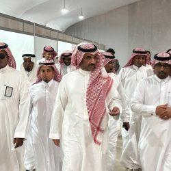المانجو في جازان.. ثروة اقتصادية تنمو بالبحث والتطوير