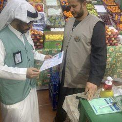 30 موجهاً صحياً بتعليم الطائف يشاركون في ورشة عمل