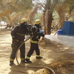 طالب من تعليم الطائف يشارك في أولمبياد الأحياء الدولي