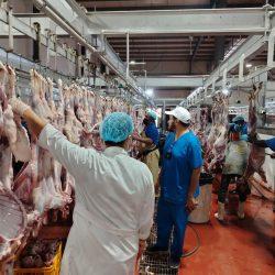 تعليم الطائف يعتمد فقرة لحظة سلامة في جميع البرامج والفعاليات