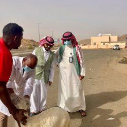 “بيئة العاصمة المقدسة” تنفذ فرضية إخلاء بمسلخ المعيصم استعداداً لموسم حج ١٤٤٦