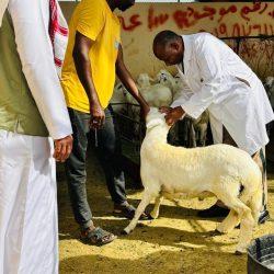 خطبة الجمعة من المسجد النبوي