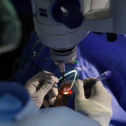 وصول 1300 حاج روسي الى مكة المكرمة