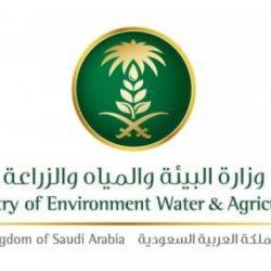 “الجوازات” تعلن عن قدوم (755,344) حاجًّا من خارج المملكة عبر المنافذ الدولية حتى نهاية يوم الأربعاء 23/ 11/ 1446هـ