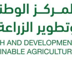 فرج – في حفل النادي الأهلي