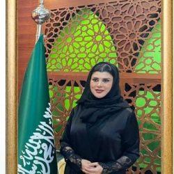 مهرجان البساط الأحمر الدولي للفيلم يوضح عن فتح باب الترشح للمسابقة الرسمية