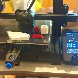 تعليم الطائف يحقق 26 ميدالية في مسابقة كانجارو للرياضيات 2025