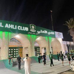 المانجو في جازان.. ثروة اقتصادية تنمو بالبحث والتطوير