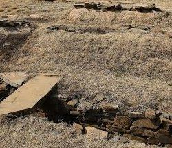 استشهاد خمسة فلسطينيين بينهم صحفي في قصف الاحتلال الإسرائيلي مركبة بمدينة غزة