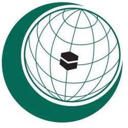 الأخضر يختتم معسكر الدمام استعدادًا لمواجهة البحرين