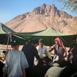 صدى الكلمات.. الإختلاف والإتفاق..(١)