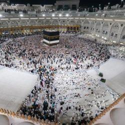 رئيس جامعة كفر الشيخ بجمهورية مصر العربية يعلن صدور القرار الجمهورى بتعيين الدكتور رشدي العدوي عميدا لكلية الزارعة
