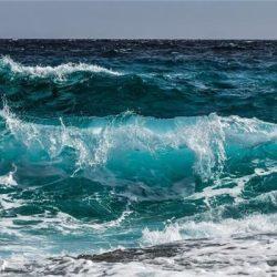 الإعلامي – السربل في فترة نقاهة