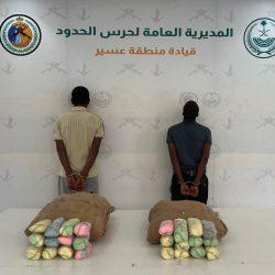 حرس الحدود بمنطقة عسير يحبط تهريب 375 كلجم من نبات القات المخدر