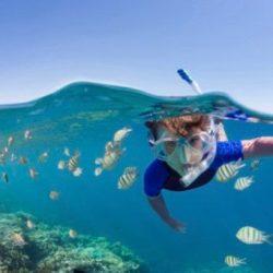 تجمع طبي عالمي يبحث مستجدات “طب العيون ” في الرياض