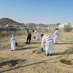 بيئة الكامل تنفذ مبادرات تطوعية ضمن جهودها لتعزيز الوعي البيئي والمشاركة المجتمعية